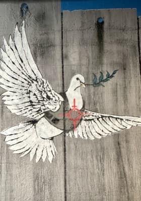 Photo 5 from Museo Banksy Madrid