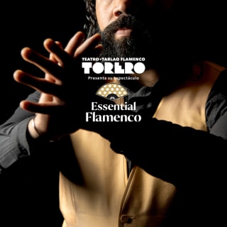Essential Flamenco: La Experiencia Flamenca más auténtica de Madrid 5