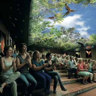 Loro Parque: Entrada 44
