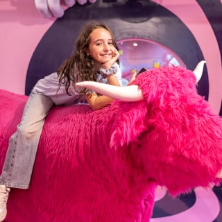 Experiencia en el Museo Big Fun y el Museo de las Ilusiones 1