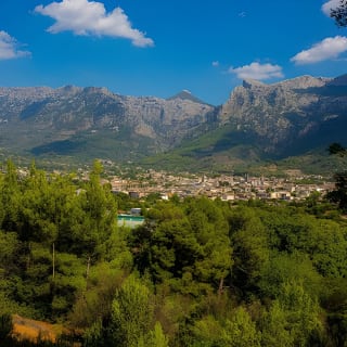 Mallorca in One Day Sightseeing Tour with Boat Ride and Vintage Train 29