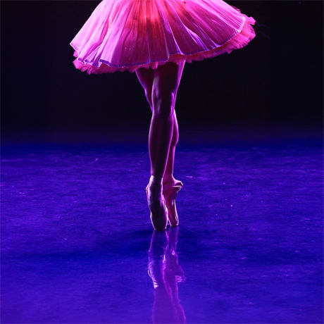 Foto 3 de Ballet of Lights: La Bella Durmiente en un espectáculo deslumbrante