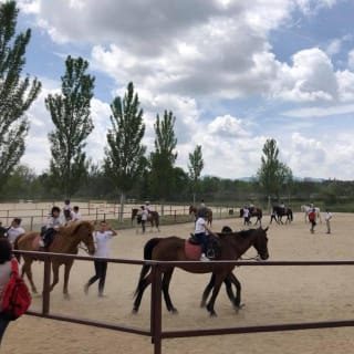 Experiencia a caballo: clases en plena naturaleza 5
