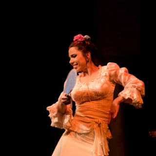 Museo del Baile Flamenco: Solo el espectáculo 8