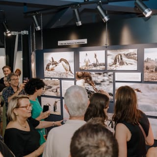 ANTARCTICA 360 - CG GALLERY | LLORET DE MAR 19