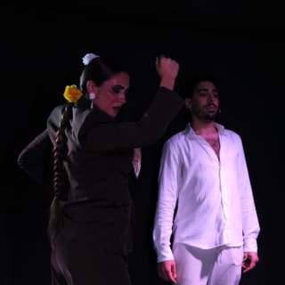 Tablao Opera Flamenca 2