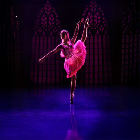 Foto 2 de Ballet of Lights: La Bella Durmiente en un espectáculo deslumbrante