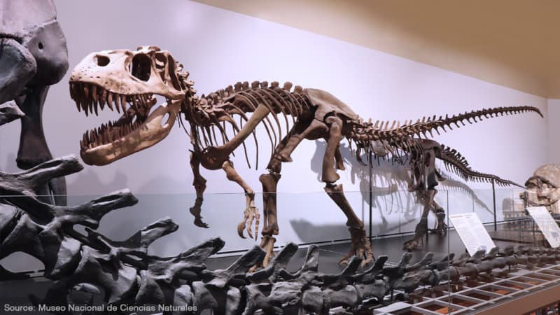 Museo Nacional de Ciencias Naturales