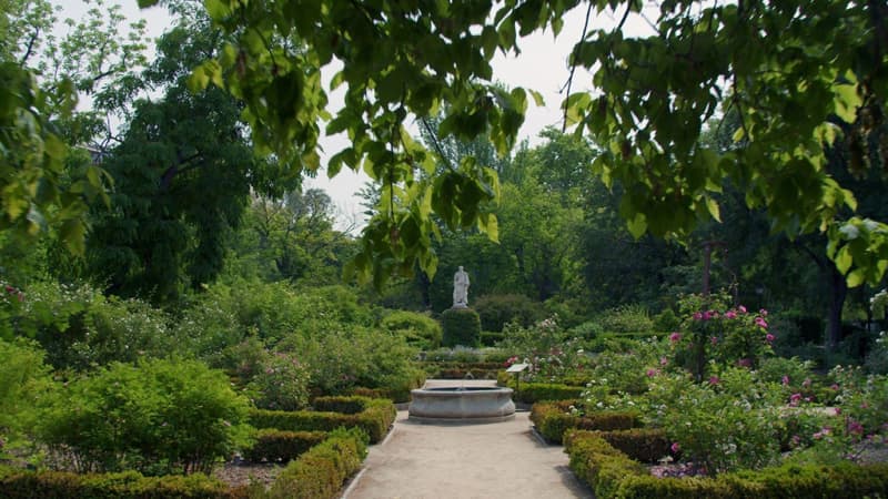 Real Jardín Botánico de la Complutense