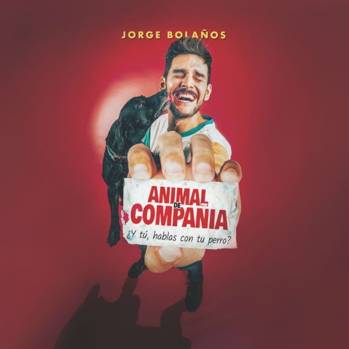Animal de Compañía
