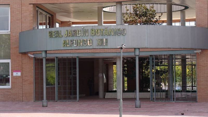 Real Jardín Botánico de la Complutense