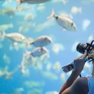 Palma Aquarium: Entrada gratuita + Cine Aquadome 3D opcional 12
