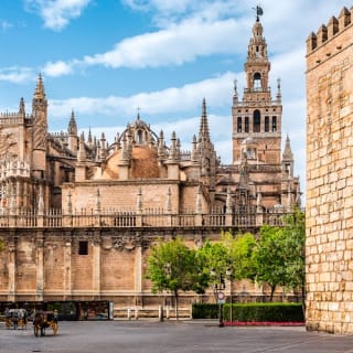 Reales Alcázares de Sevilla, Catedral y Giralda: Entrada + Visita de 3,5 horas 6