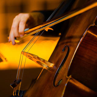 Candlelight: Las Cuatro Estaciones de Vivaldi 6