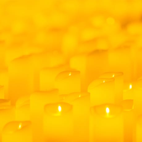 Foto 4 de Candlelight: Las Cuatro Estaciones de Vivaldi