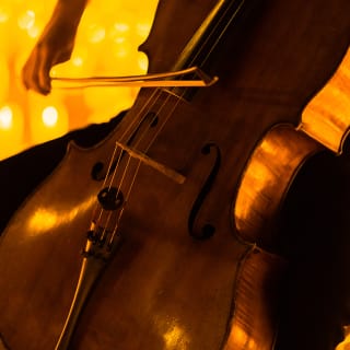Candlelight: Las Cuatro Estaciones de Vivaldi 5