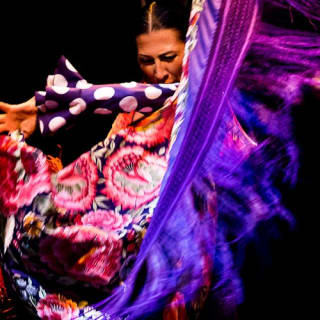 Museo del Baile Flamenco: Solo el espectáculo 25