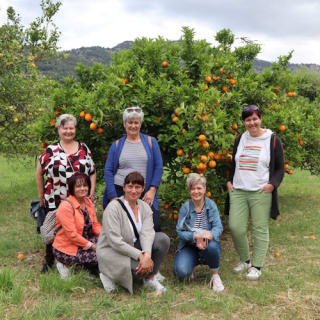 Mallorca: Valle de los Naranjos y Valldemossa Visita Guiada + Traslados 25