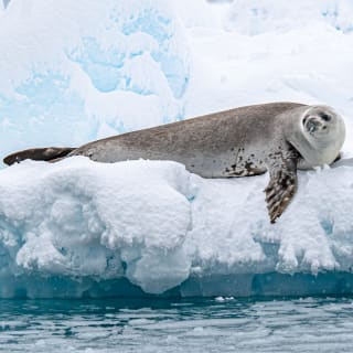 ANTARCTICA 360 - CG GALLERY | LLORET DE MAR 7