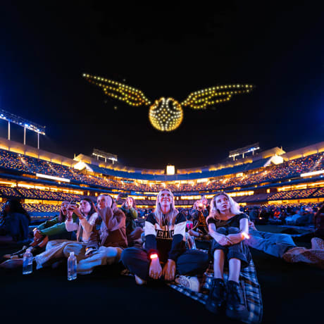 Foto 2 de DroneArt Show: Harry Potter™ en el Parc del Fòrum