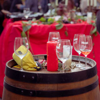 Entrada al VINSEUM con degustación de vino catalán 7