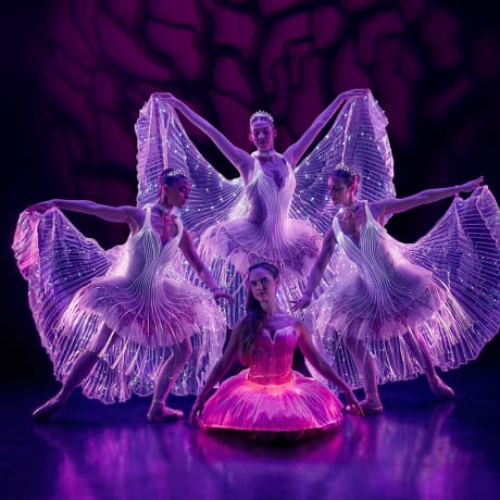 Foto 4 de Ballet of Lights: La Bella Durmiente en un espectáculo deslumbrante