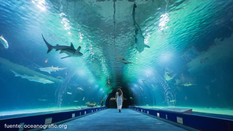 Oceanogràfic València