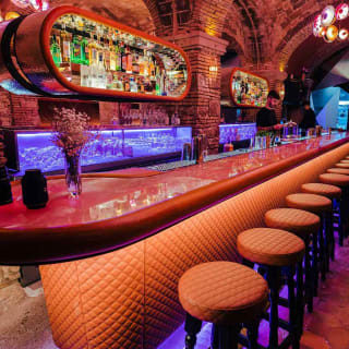 Fiesta clandestina y discoteca VIP en Barcelona 12