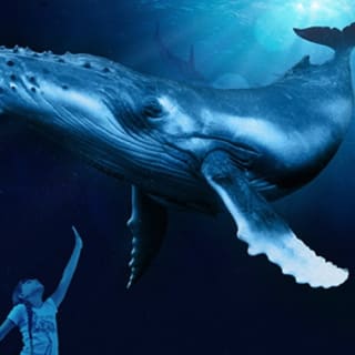 Palma Aquarium: Entrada gratuita + Cine Aquadome 3D opcional 6