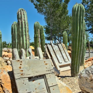 BiBo Park (Ibiza Botánico Biotecnológico) 2