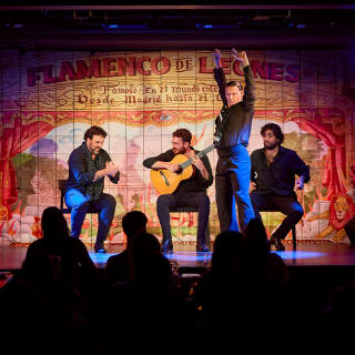 Experiencia Flamenca en la Puerta de Alcalá 1