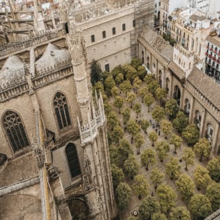 Tour Guiado a la Catedral de Sevilla 3