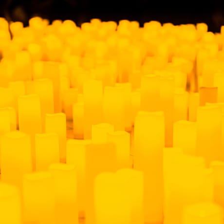 Foto 5 de Candlelight: Michael Jackson