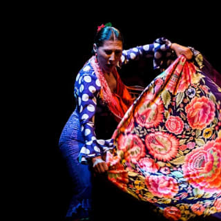 Museo del Baile Flamenco: Entrada + Puro Espectáculo Flamenco 15