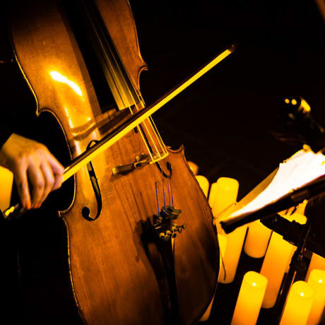 Foto 5 de Candlelight: Las Cuatro Estaciones de Vivaldi