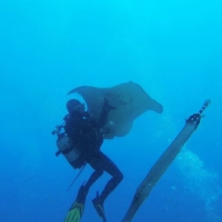 Los Cristianos: Clase guiada de buceo 1