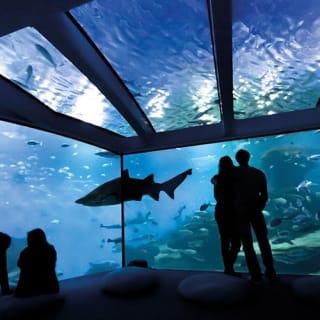 Palma Aquarium: Entrada gratuita + Cine Aquadome 3D opcional 63