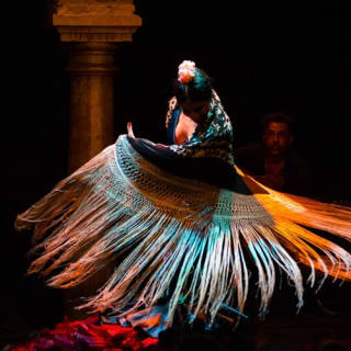 Museo del Baile Flamenco: Solo el espectáculo 15