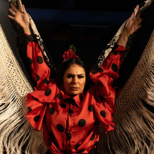 Flamenco Auténtico en El Gallo Ronco