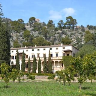 Mallorca: Valle de los Naranjos y Valldemossa Visita Guiada + Traslados 23