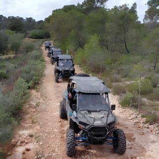 Buggy 2-seater and 4-seater Off-On Road Tour in Mallorca 6