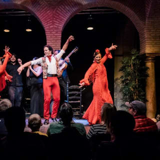 Museo del Baile Flamenco: Entrada + Puro Espectáculo Flamenco 11