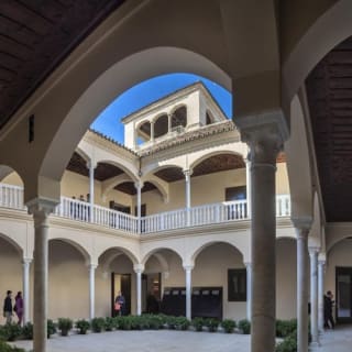 Museo Picasso Málaga: visita guiada 20