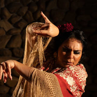 Flamenco Auténtico en El Gallo Ronco 2