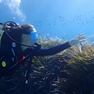 Try Scuba Diving by Boat in Mallorca 6