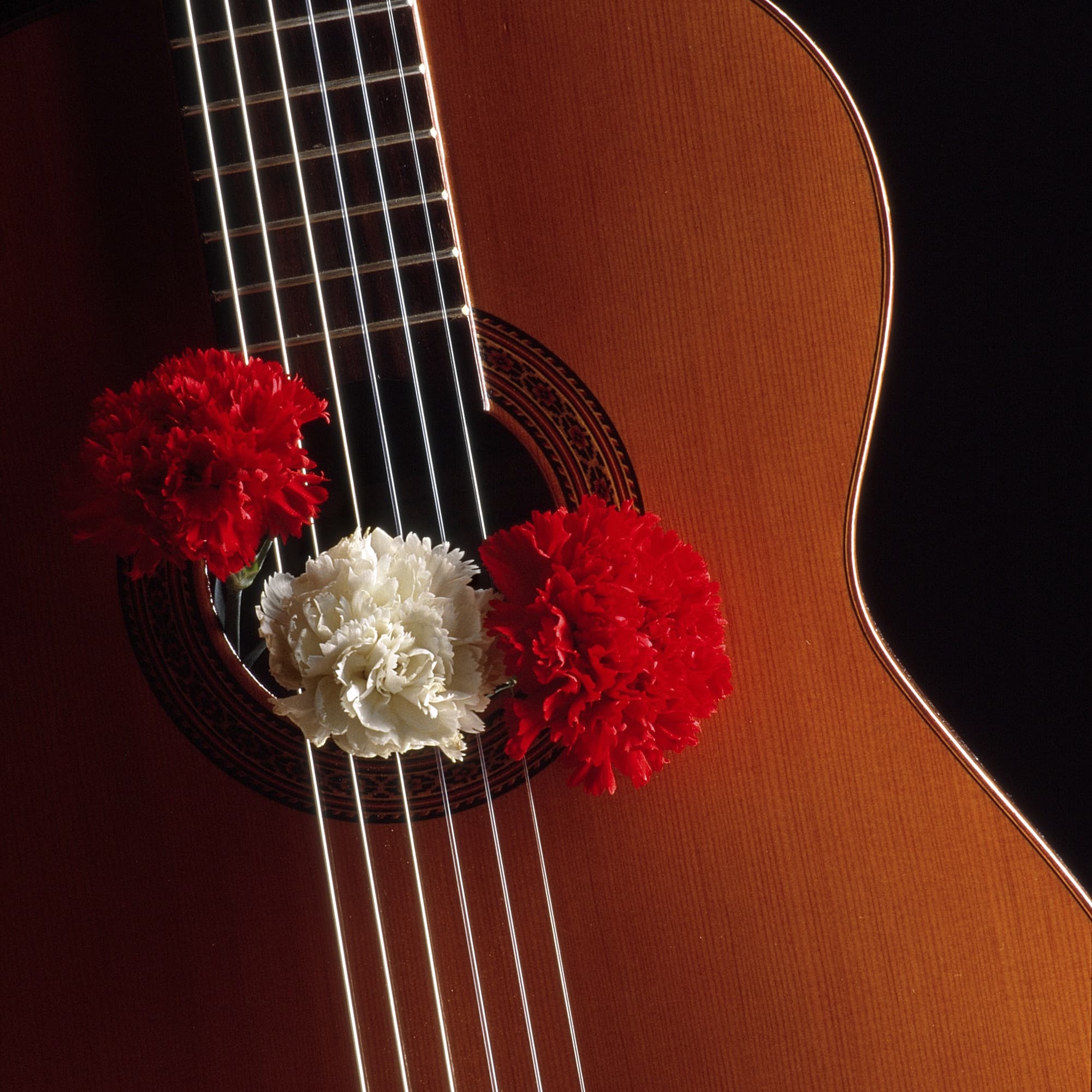 Flamenco