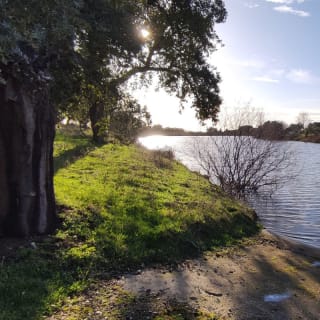 Casa rural en Toledo: dos noches, gymcana y brunch en El Toril 11