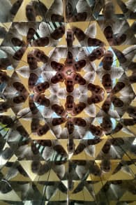 Photo 0 from Paradox Museum Barcelona