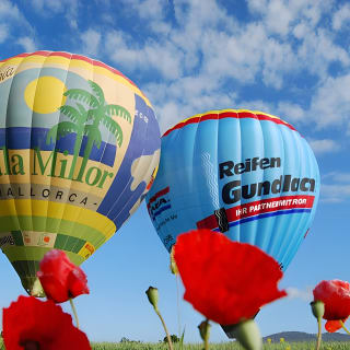 Romantic Sunrise Balloon Tour in Majorca 7