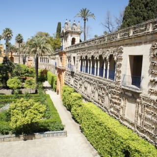 Real Alcázar de Sevilla: Visita guiada 5